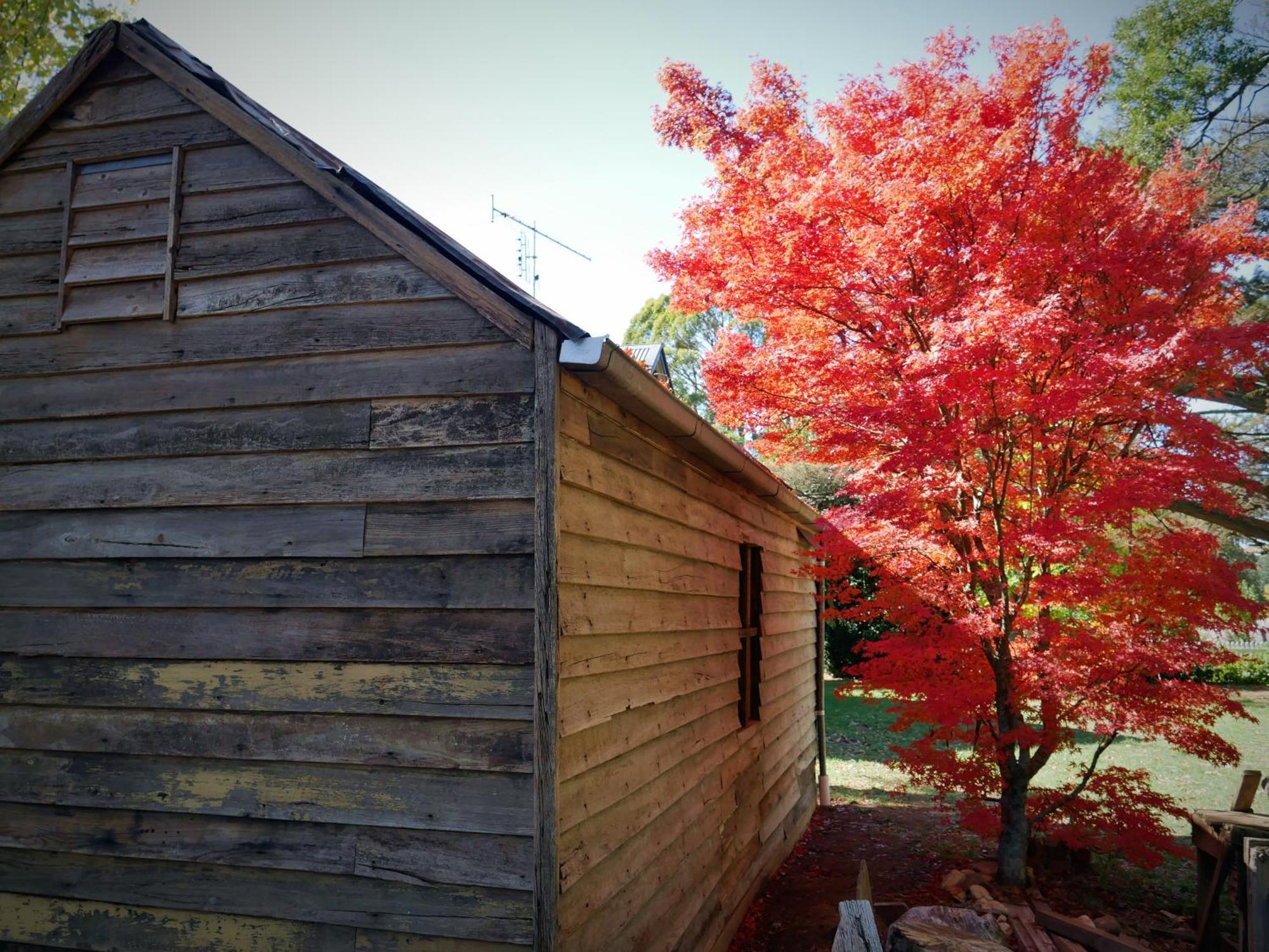 Lynden Cottage - Built 1884 In The Heart Of Town Trentham Exteriér fotografie