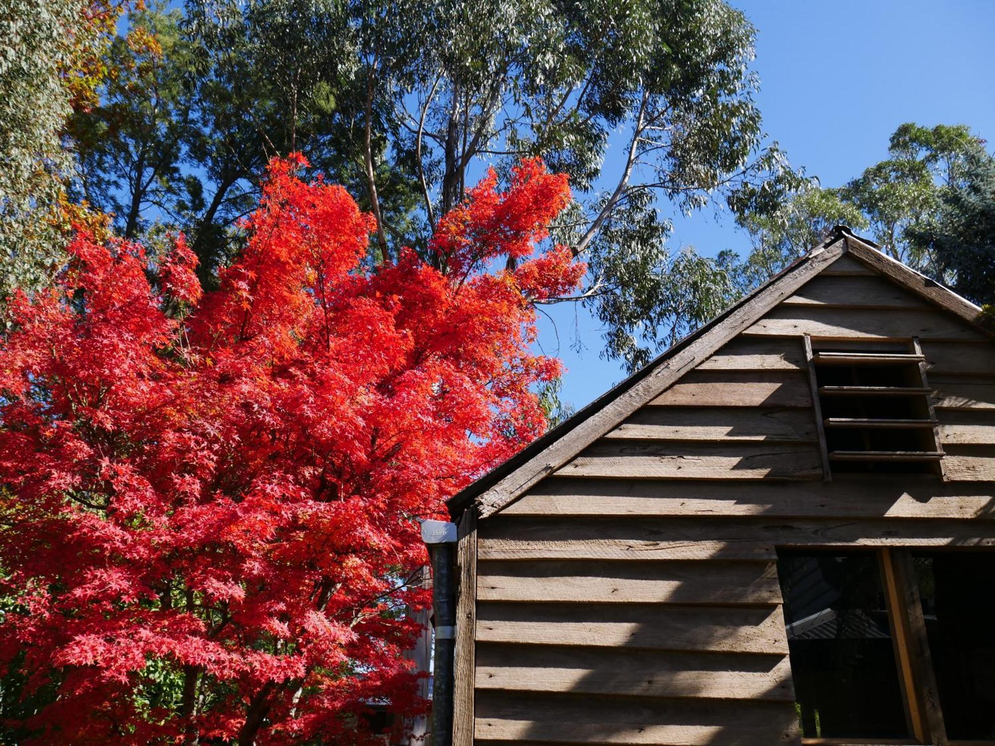 Lynden Cottage - Built 1884 In The Heart Of Town Trentham Exteriér fotografie